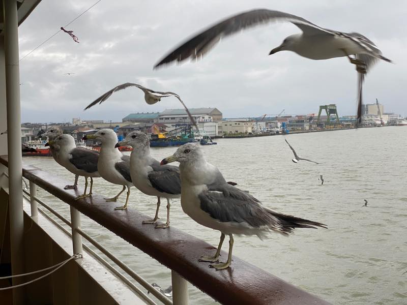 f:id:u_rotas:20200727082053j:plain f:id:u_rotas:20200727082053j:plain