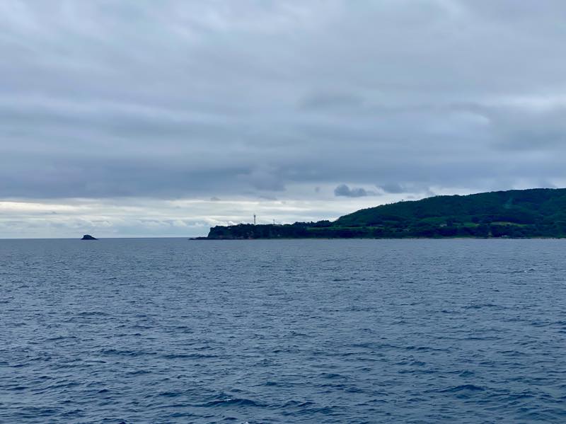 f:id:u_rotas:20200727082059j:plain f:id:u_rotas:20200727082059j:plain