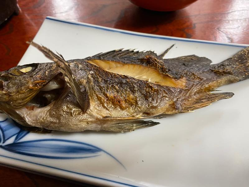 f:id:u_rotas:20200727082346j:plain f:id:u_rotas:20200727082346j:plain