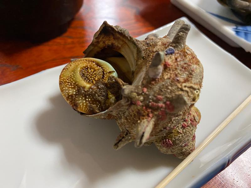 f:id:u_rotas:20200727082349j:plain f:id:u_rotas:20200727082349j:plain