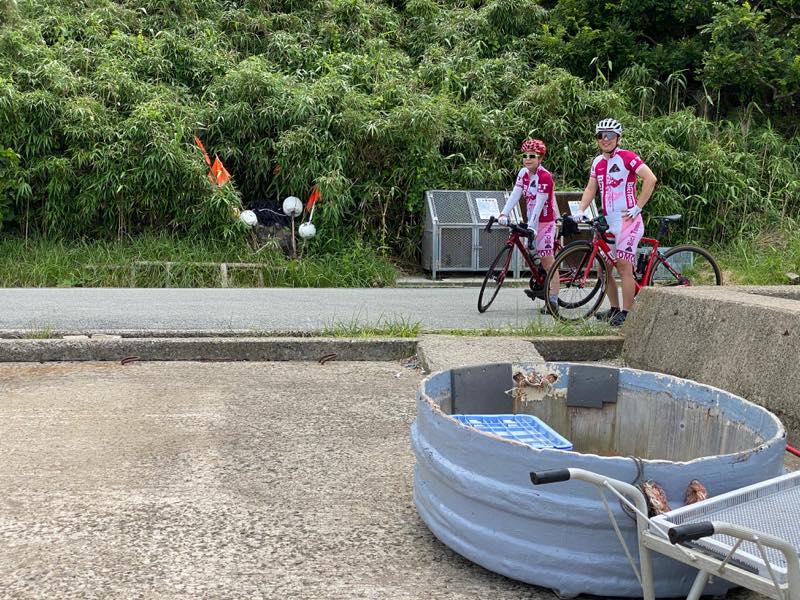 f:id:u_rotas:20200727082635j:plain f:id:u_rotas:20200727082635j:plain