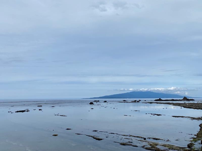 f:id:u_rotas:20200727082641j:plain f:id:u_rotas:20200727082641j:plain