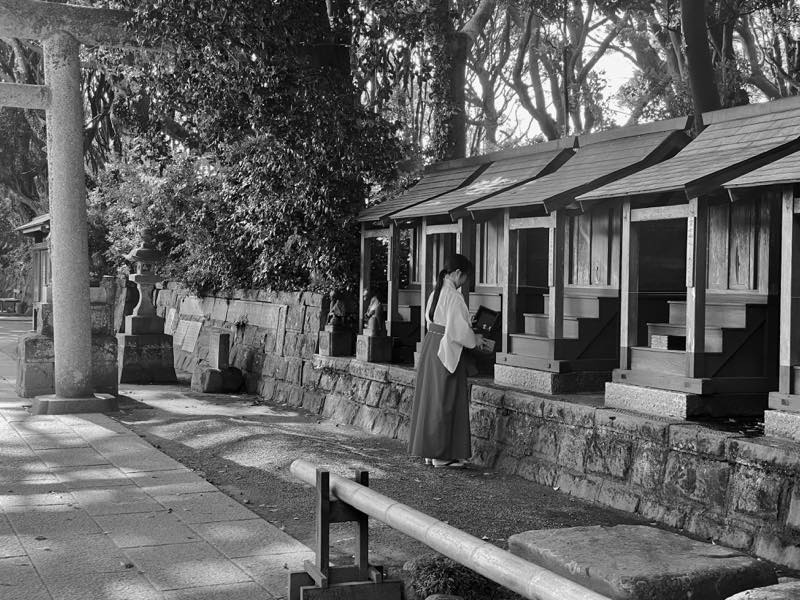 f:id:u_rotas:20200806055615j:plain f:id:u_rotas:20200806055615j:plain