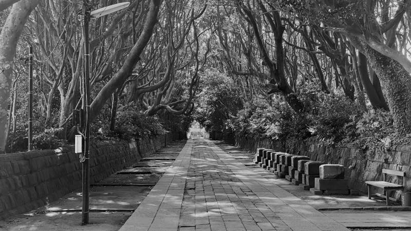 f:id:u_rotas:20200806055617j:plain f:id:u_rotas:20200806055617j:plain