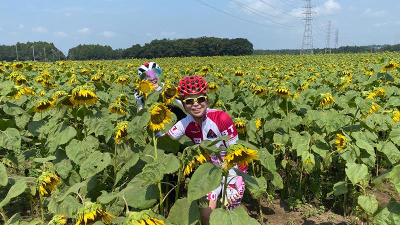 f:id:u_rotas:20200825084718j:plain