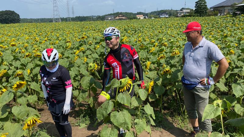 f:id:u_rotas:20200825084726j:plain