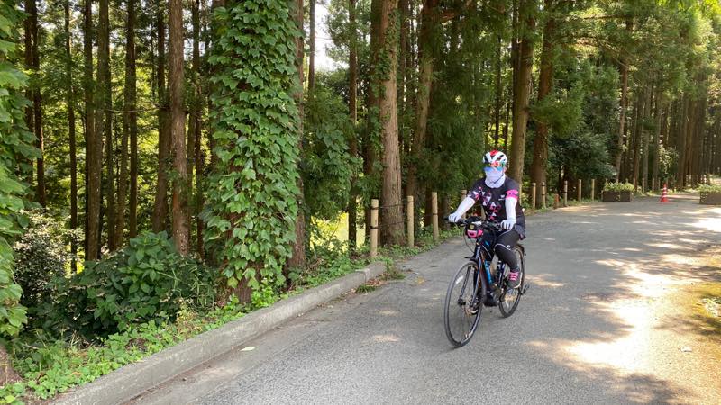 f:id:u_rotas:20200825084830j:plain