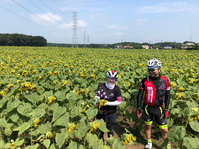 f:id:u_rotas:20200825085135j:plain