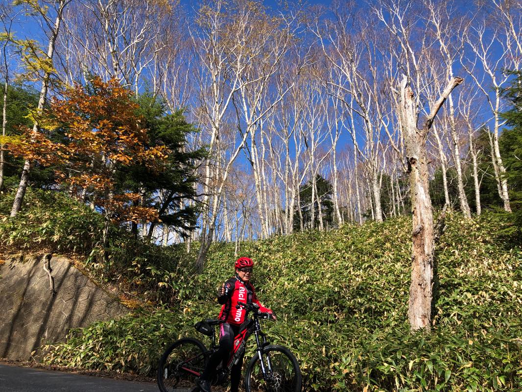 f:id:u_rotas:20201027065313j:plain