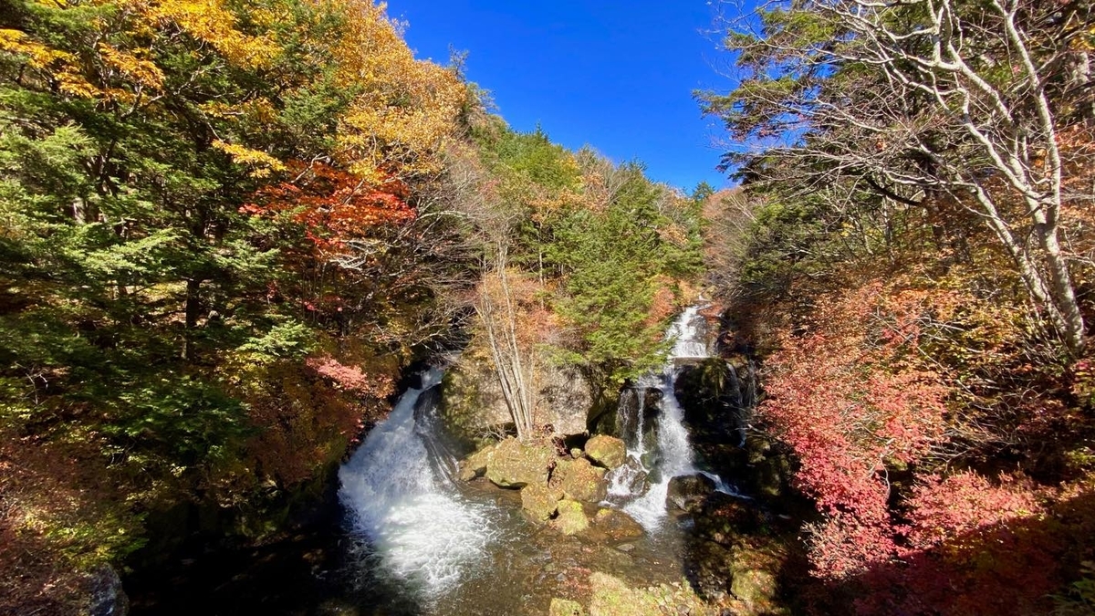 f:id:u_rotas:20201027065519j:plain