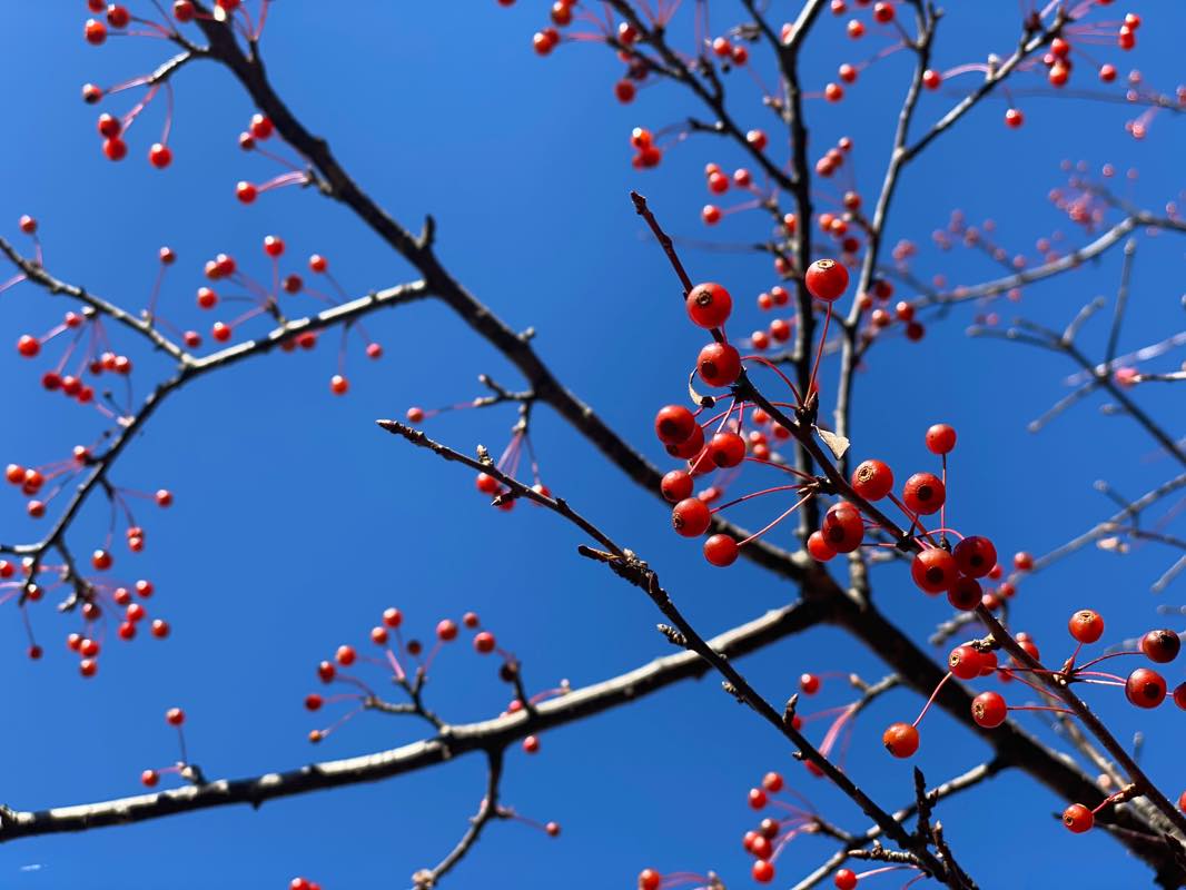 f:id:u_rotas:20201027065630j:plain