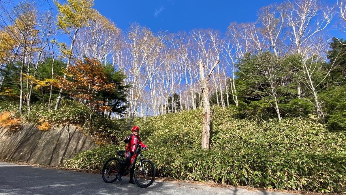 f:id:u_rotas:20201027065640j:plain