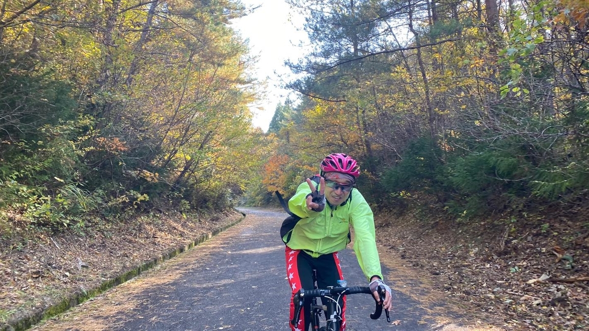 f:id:u_rotas:20201110082405j:plain