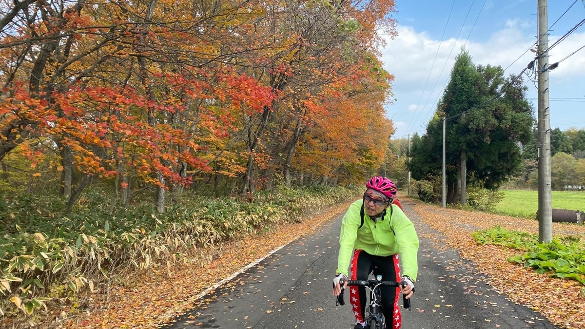 f:id:u_rotas:20201110082427j:plain