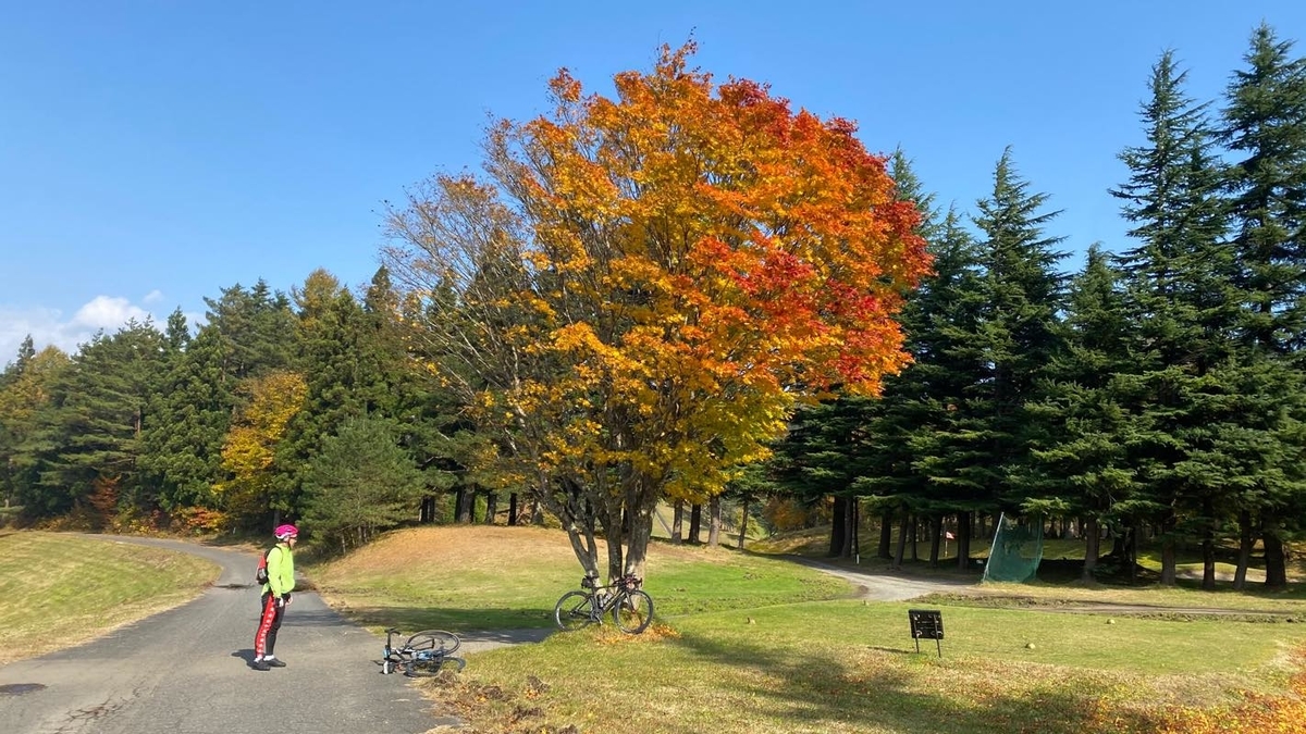 f:id:u_rotas:20201110082434j:plain