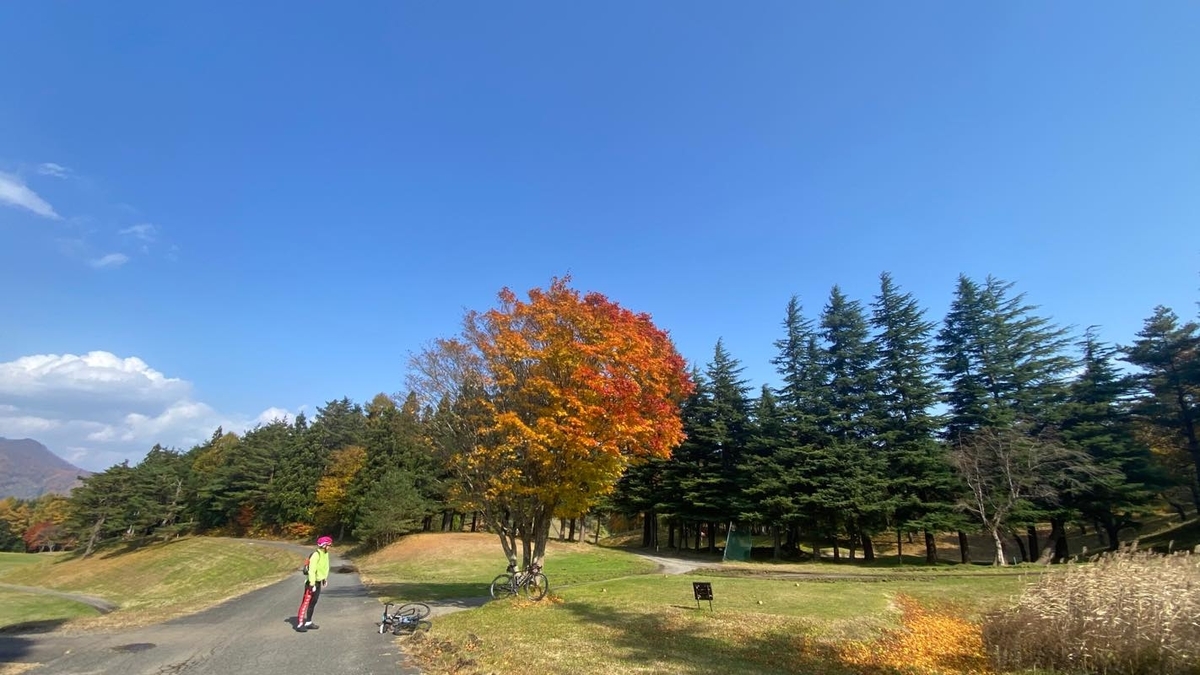 f:id:u_rotas:20201110082438j:plain