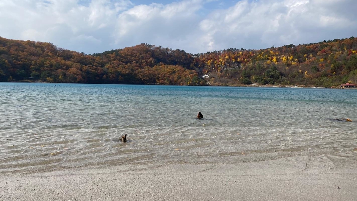 f:id:u_rotas:20201110082450j:plain