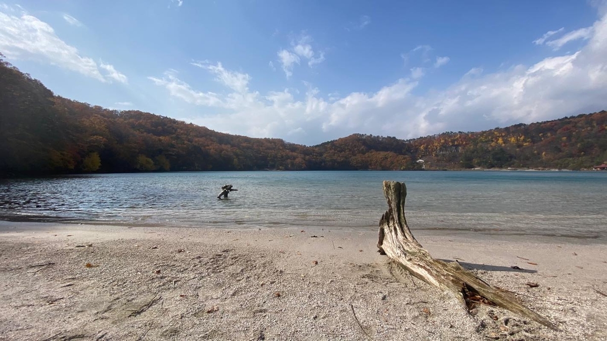 f:id:u_rotas:20201110082502j:plain