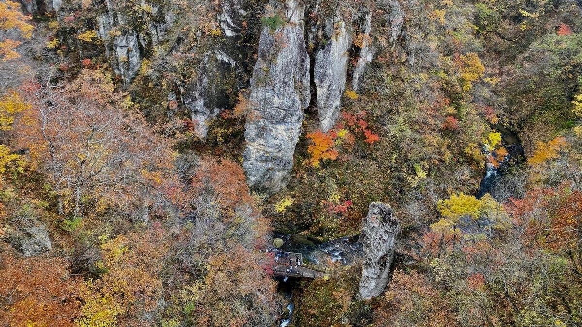 f:id:u_rotas:20201110082542j:plain