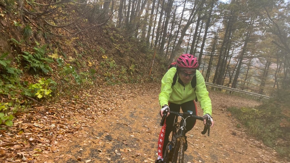 f:id:u_rotas:20201110082618j:plain