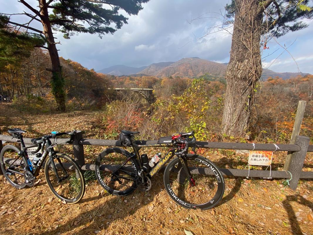 f:id:u_rotas:20201111184313j:plain