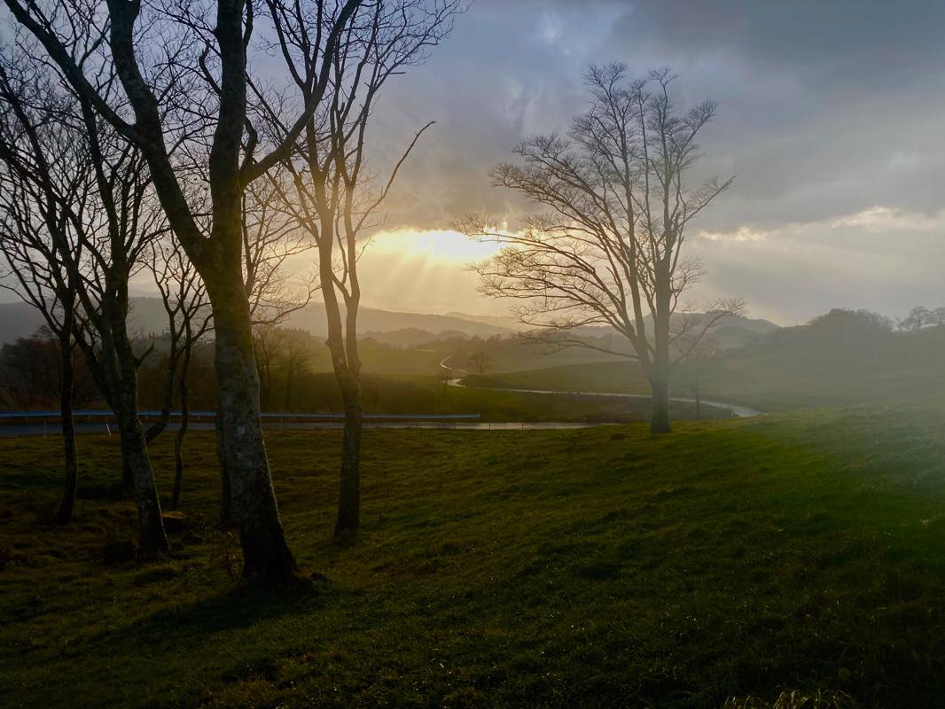 f:id:u_rotas:20201111184735j:plain