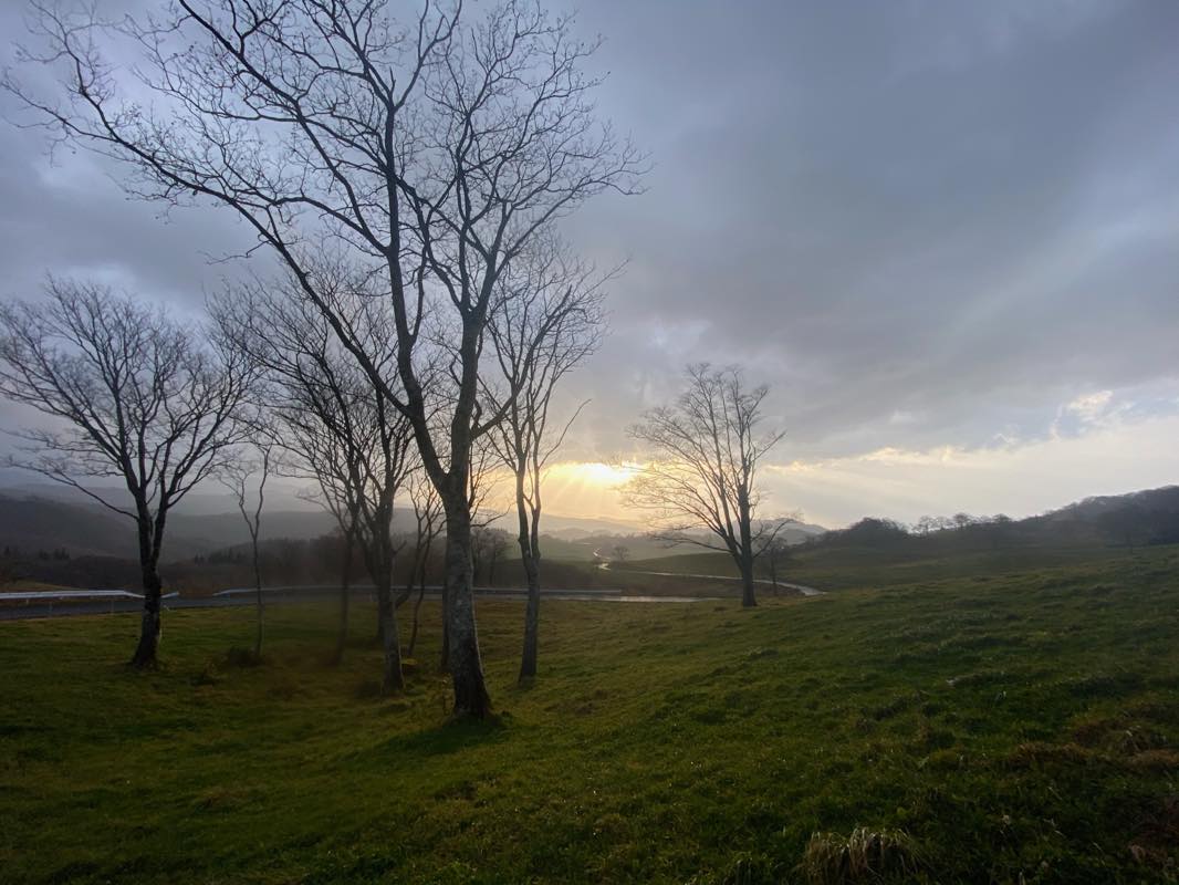 f:id:u_rotas:20201111184738j:plain