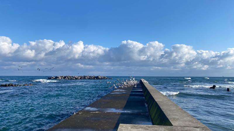 f:id:u_rotas:20201202182251j:plain