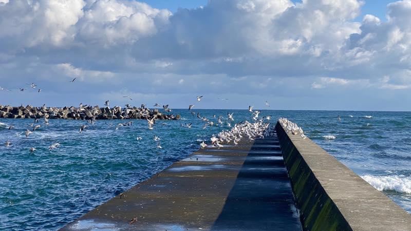 f:id:u_rotas:20201202182255j:plain