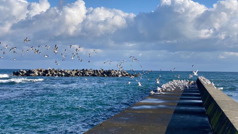 f:id:u_rotas:20201202182258j:plain