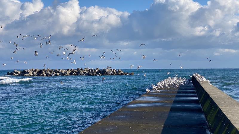 f:id:u_rotas:20201202182302j:plain