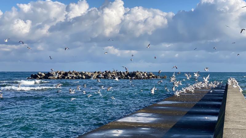 f:id:u_rotas:20201202182308j:plain