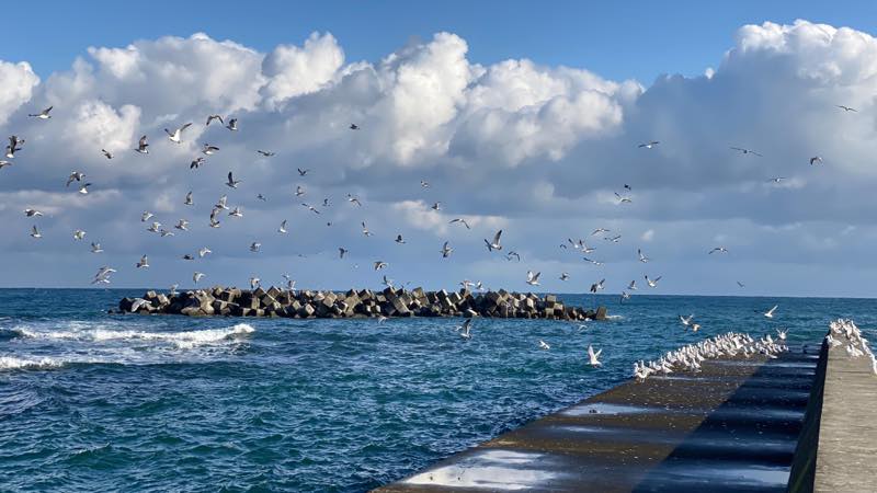 f:id:u_rotas:20201202182310j:plain