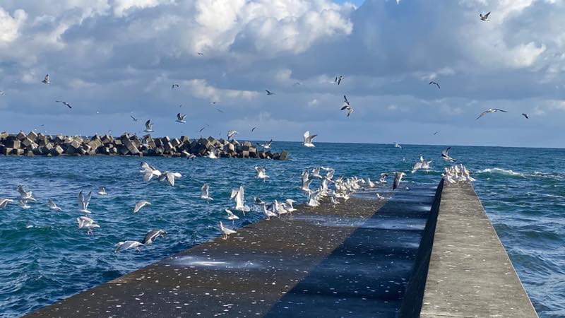 f:id:u_rotas:20201202182314j:plain