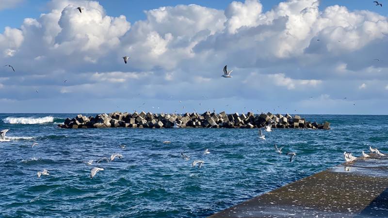 f:id:u_rotas:20201202182316j:plain