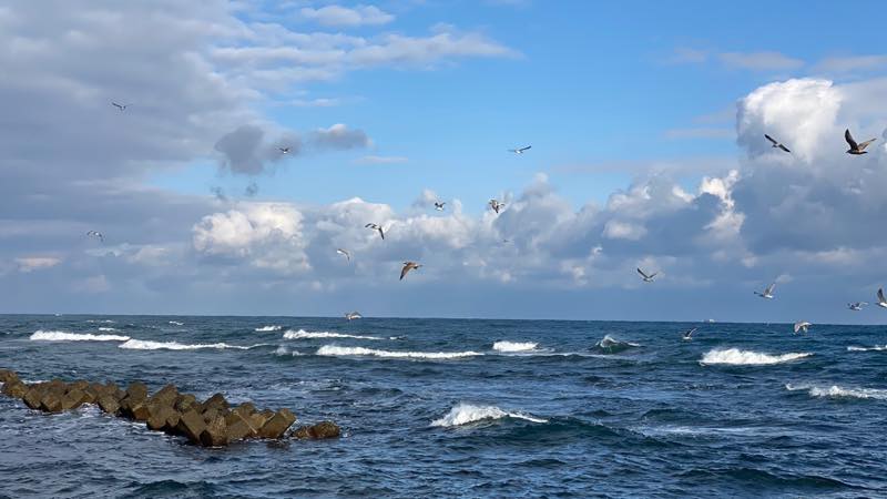 f:id:u_rotas:20201202182319j:plain