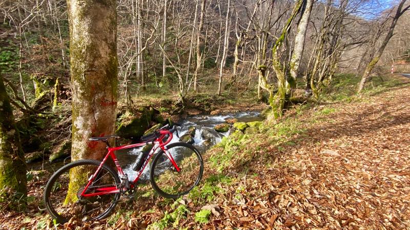 f:id:u_rotas:20201208175502j:plain