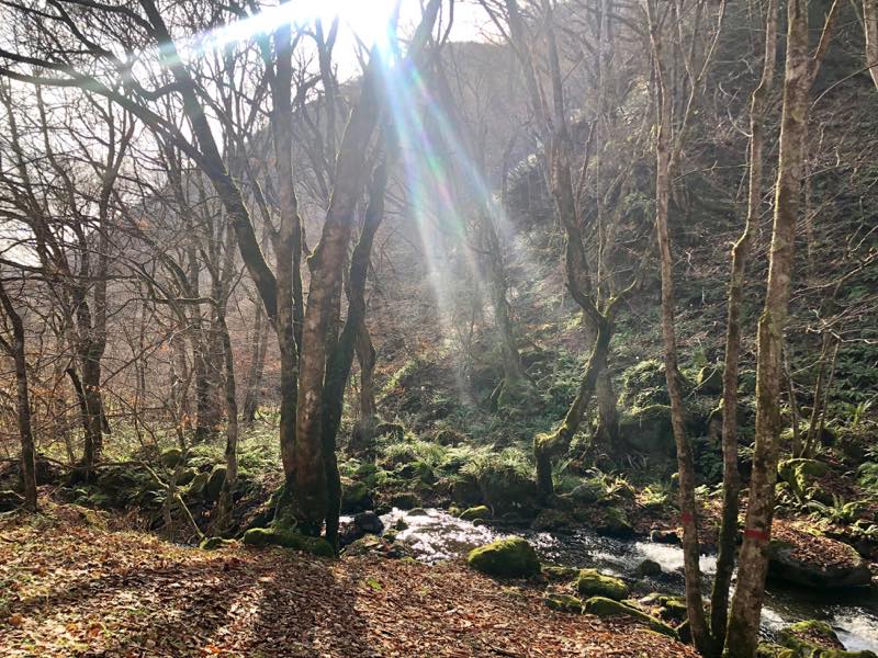 f:id:u_rotas:20201209091438j:plain