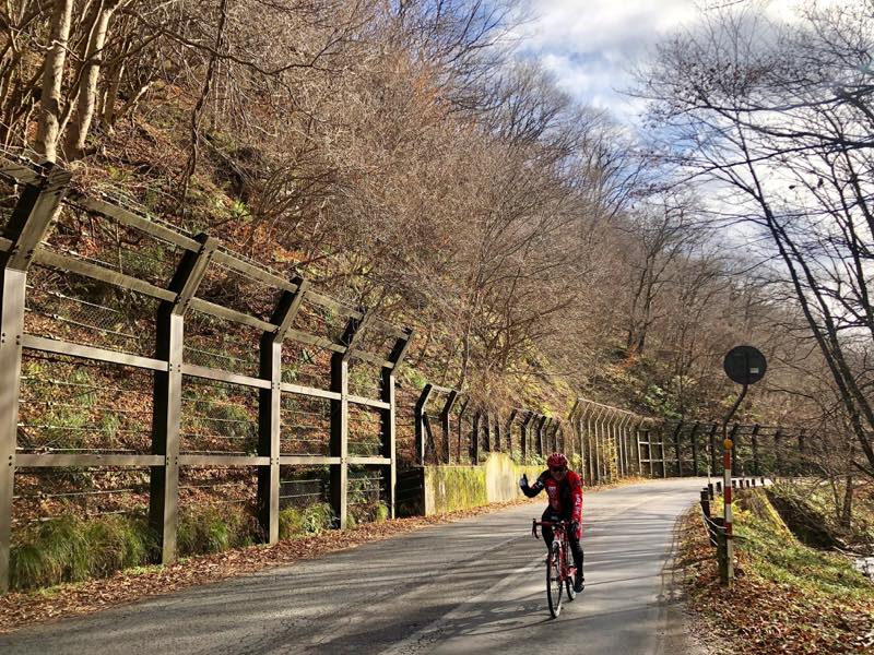 f:id:u_rotas:20201209091443j:plain