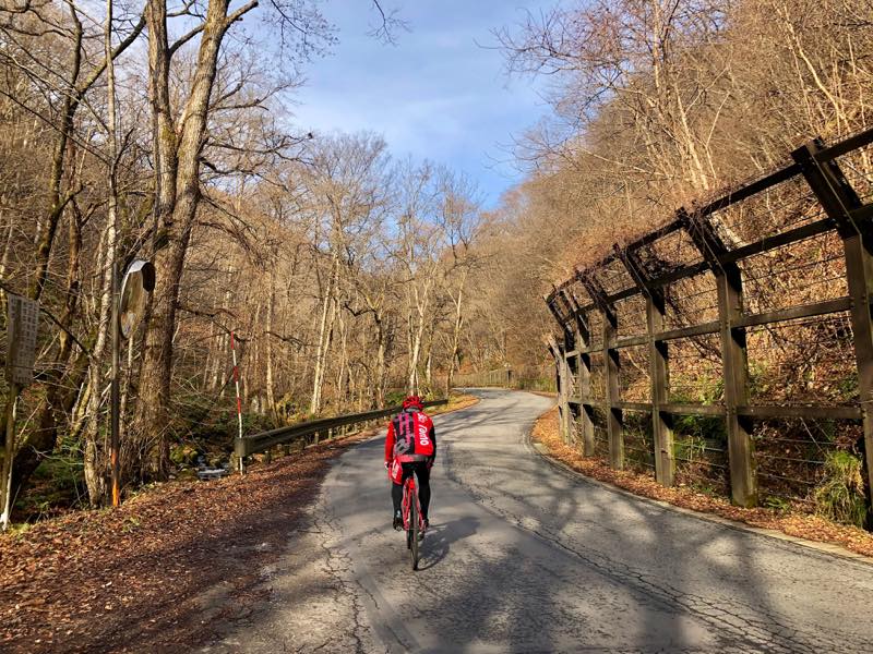 f:id:u_rotas:20201209091453j:plain