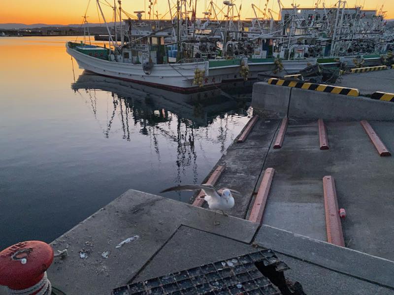 f:id:u_rotas:20210222081046j:plain