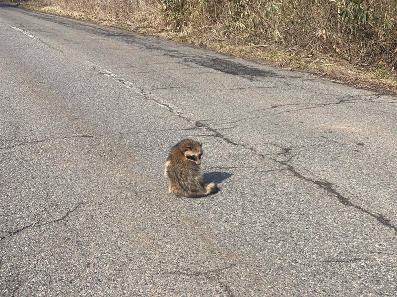 f:id:u_rotas:20210222081308j:plain