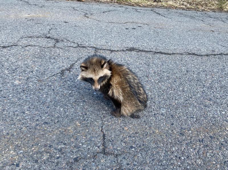 f:id:u_rotas:20210222081310j:plain