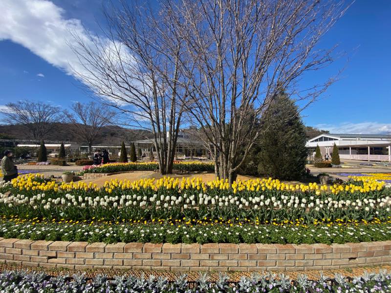 f:id:u_rotas:20210316074935j:plain