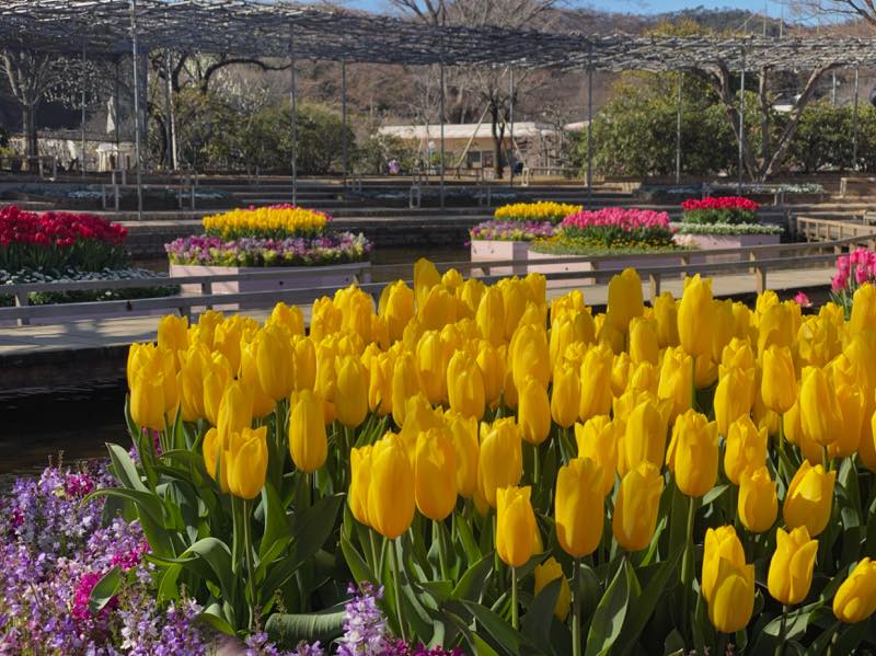 f:id:u_rotas:20210316074941j:plain