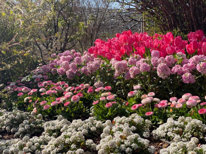 f:id:u_rotas:20210316074944j:plain