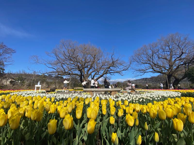 f:id:u_rotas:20210316074950j:plain