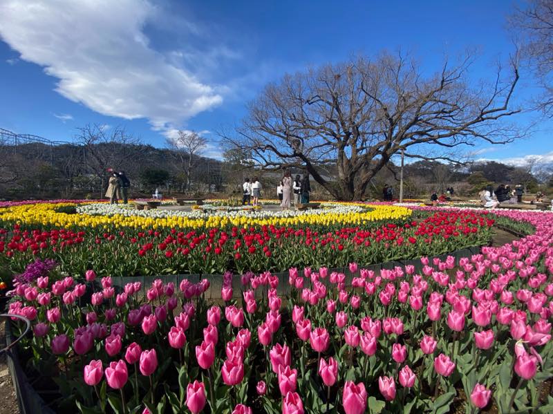 f:id:u_rotas:20210316074953j:plain