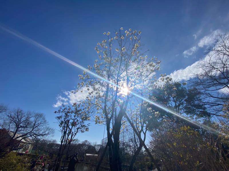 f:id:u_rotas:20210316074955j:plain