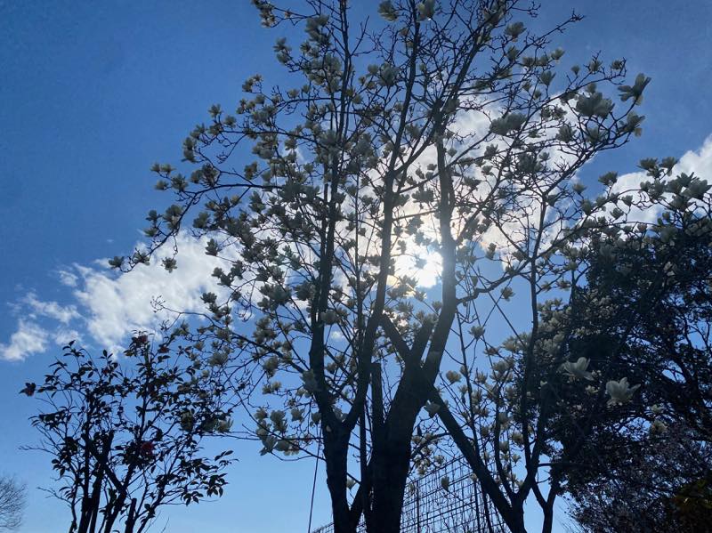 f:id:u_rotas:20210316074958j:plain